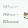 Erklärung der natürlichen Inhaltsstoffe wie Kakaobutter und Sheabutter für die INUANA Badekugel