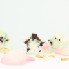 Mehrere Badesterne Sakura Flower & Rice mit Blütenblättern als natürlicher Badezusatz von INUANA