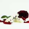 Zwei Badesticks Violette Noire mit roter Rose und Blütenblättern als Badezusatz von INUANA