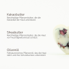 Übersicht natürlicher Inhaltsstoffe wie Kakaobutter und Sheabutter für die Seife von INUANA